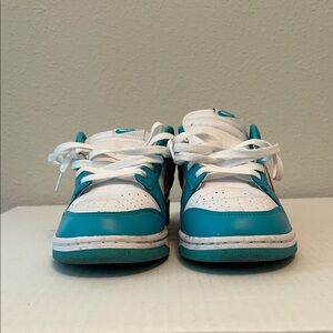 Nike Dunk Lows (NO box)